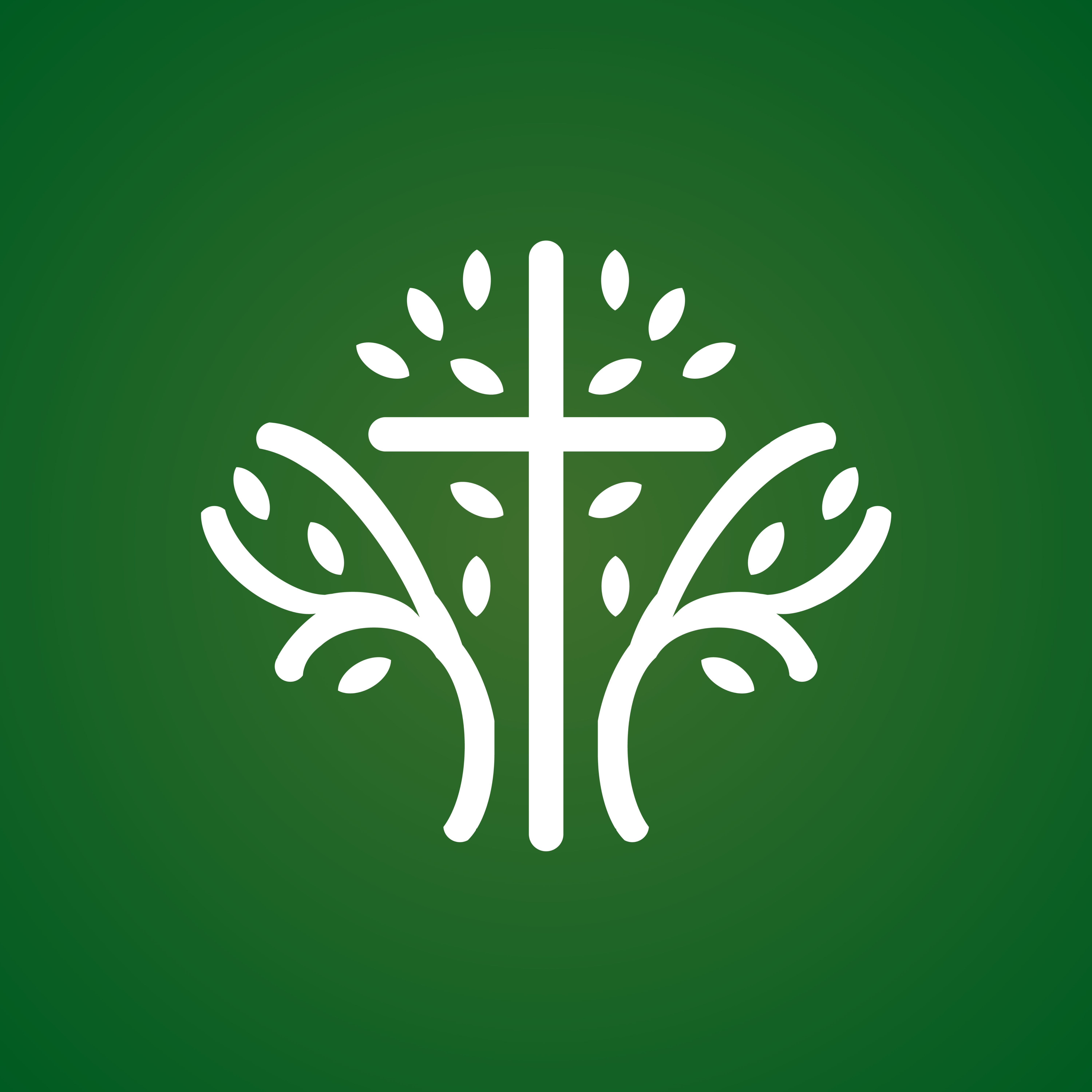 Bosques de San Francisco